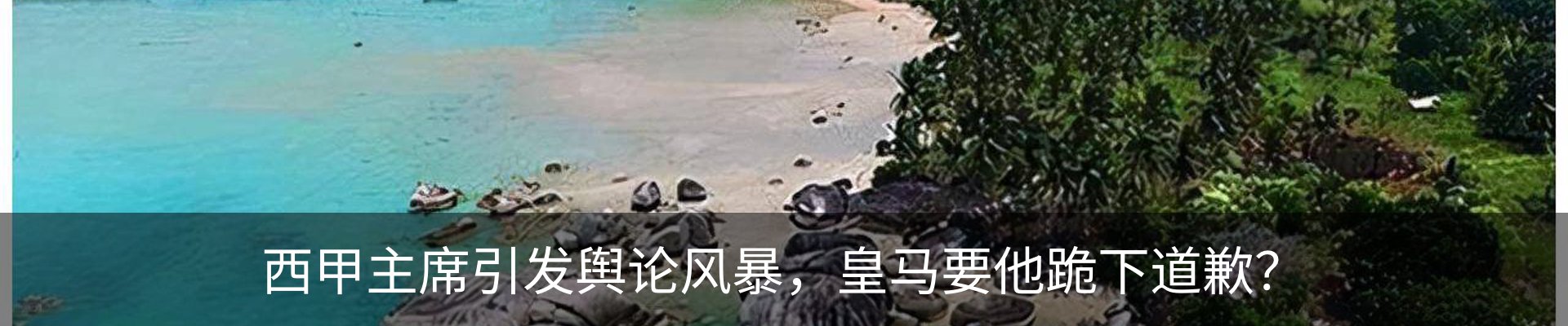 最新动态